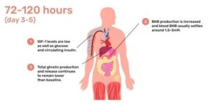 What are the benefits of Autophagy ? What are the benefits of Autophagy ?