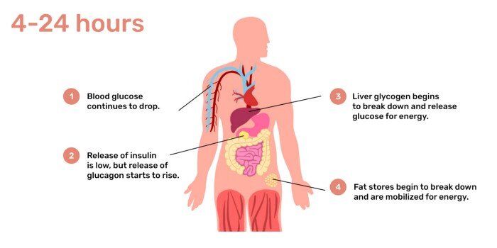 16/8 fasting 16/8 fasting