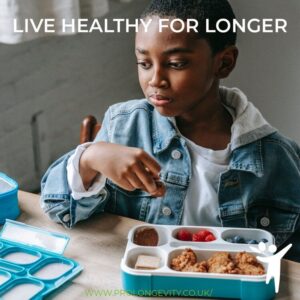 Healthy Lunches Made Simple - Lunch Ideas For Your Kids - Prolongevity