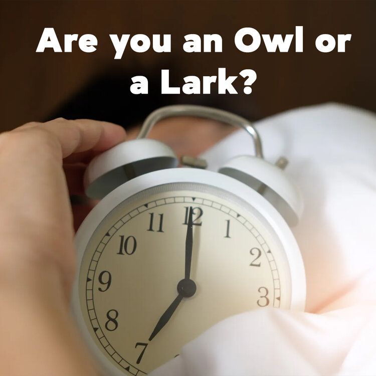 Chronotypes! Are You An Owl Or A Lark (And Why Does It Matter)