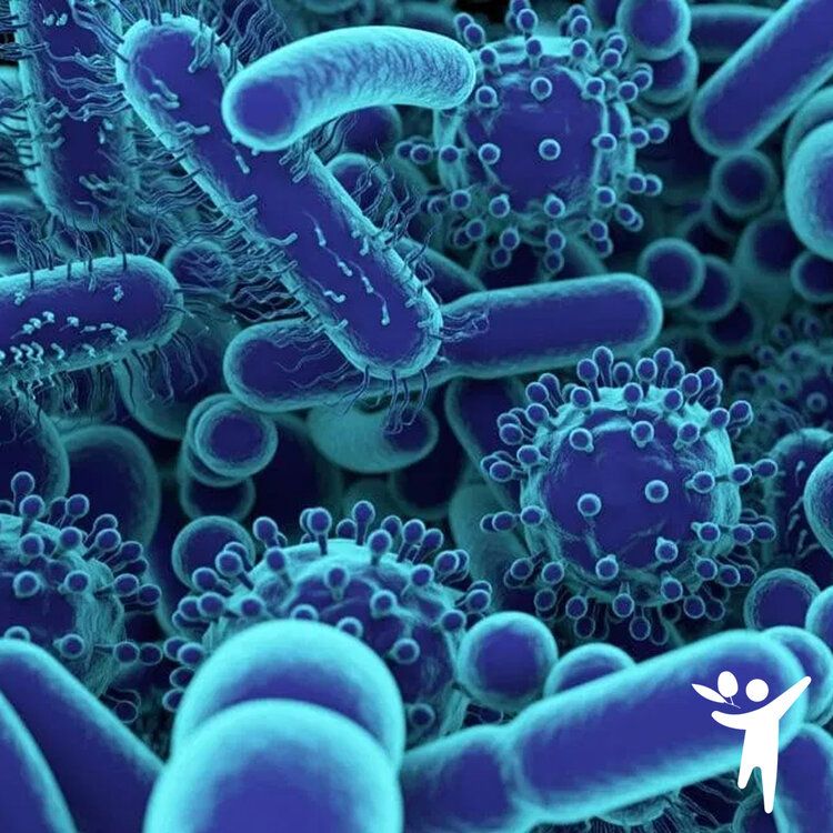Gut Bacteria influences your mood and anxiety levels