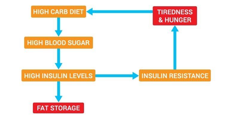 Don’t Go Hungry When Trying To Lose Weight - Prolongevity Don’t Go Hungry When Trying To Lose Weight - Prolongevity