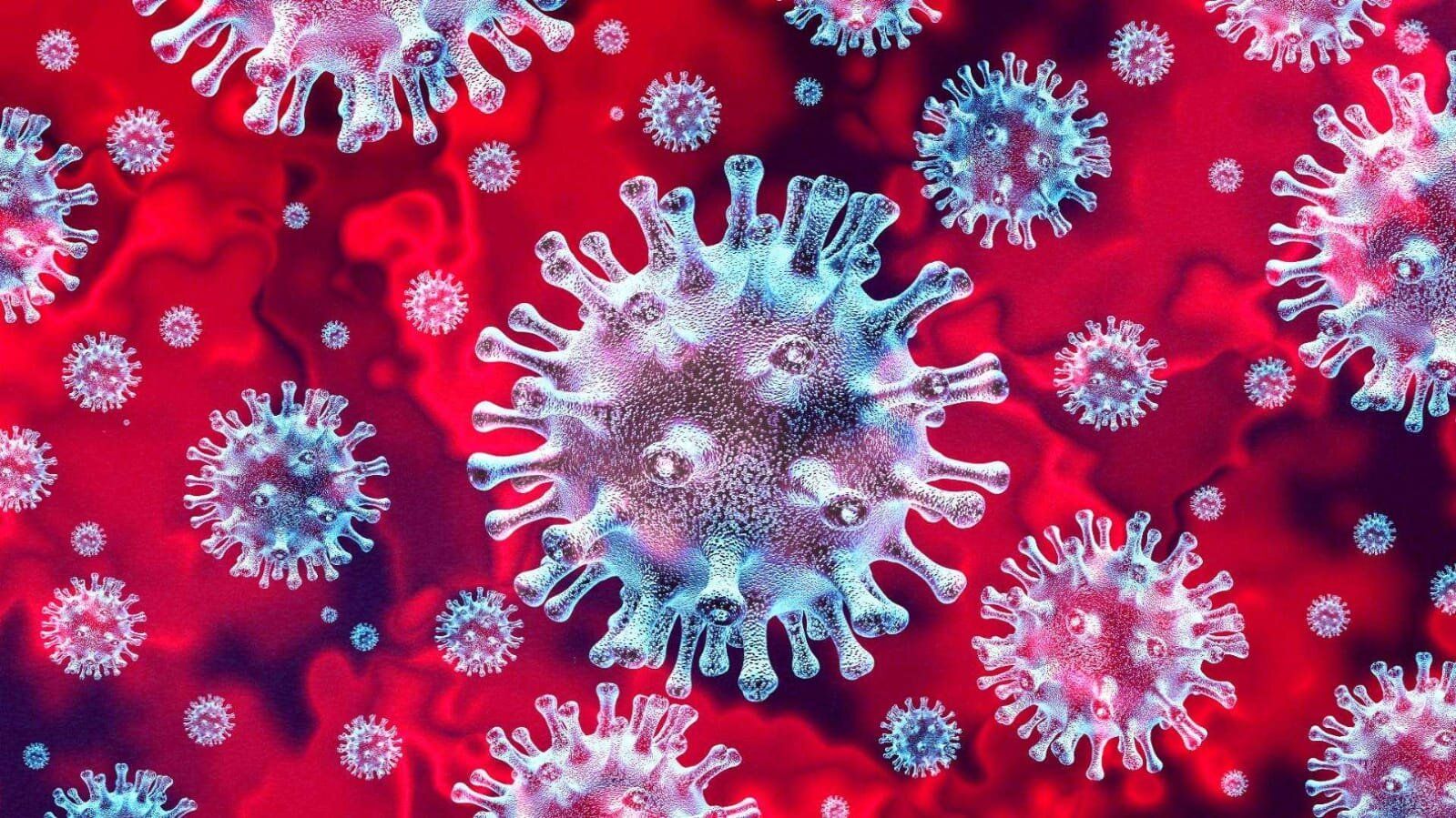 7 Ways to Improve Immunity to Coronavirus (COVID-19) - Prolongevity