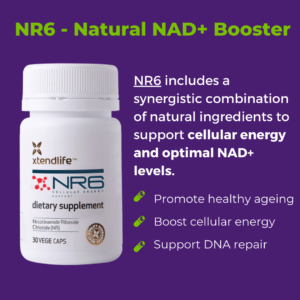 NR6 - Natural NAD + Booster